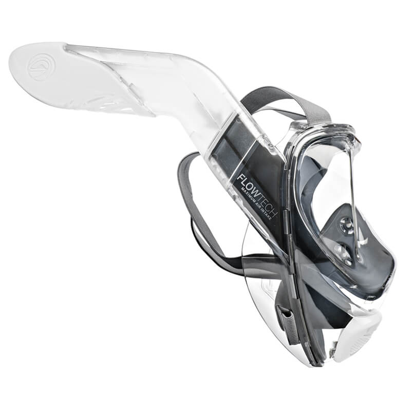 Orca / Medium