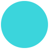 Turquoise / L